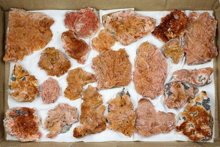 Lot - Pink and Orange Bladed Barite - Pieces #103747